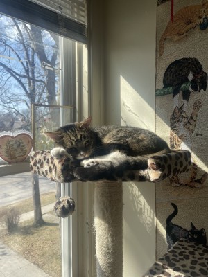 Photo of Willy