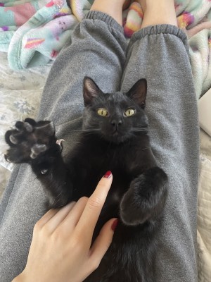 Photo of Jinx