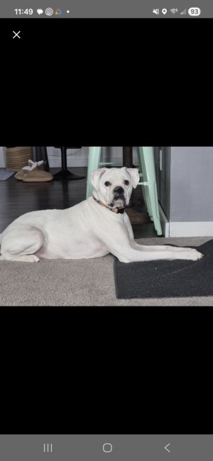 Photo of Roxi