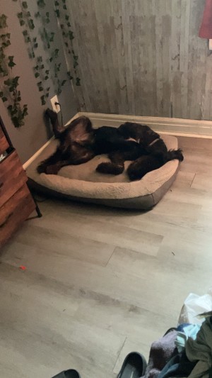 Photo of Sebastian