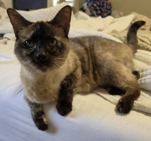 Photo of Pocket