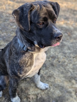 Photo of Happy