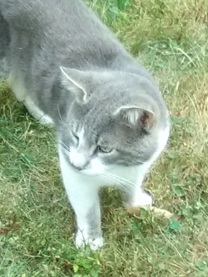 Photo of Leo