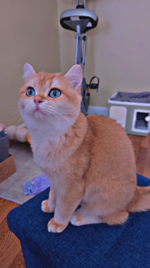 Photo of Mina
