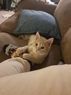 Photo of Tinker