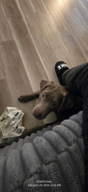 Photo of Zane