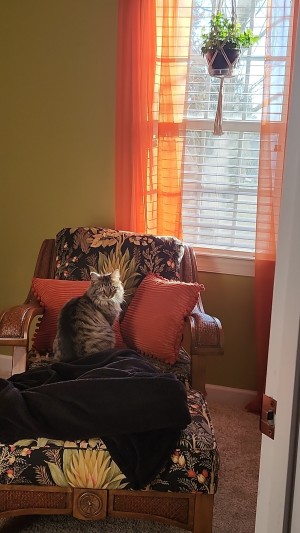 Photo of Jeffrey