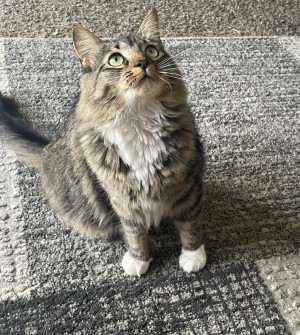 Photo of May/ Catniss