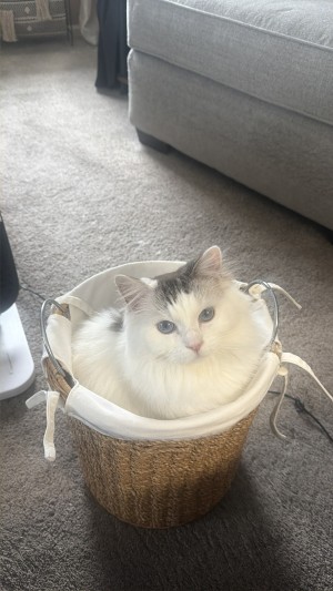 Photo of Luca
