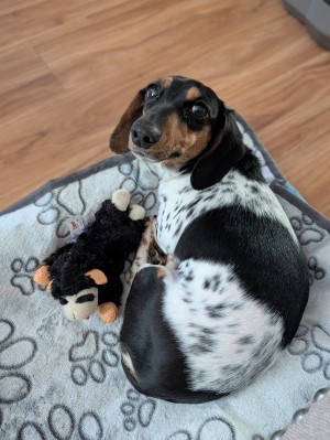 Photo of Judy