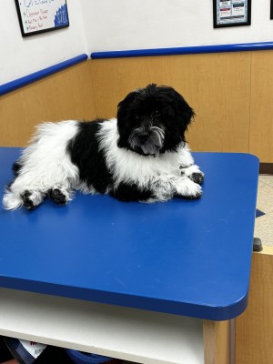 Photo of Nutty Buddy