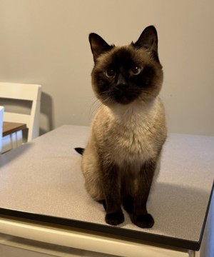 Photo of Tess
