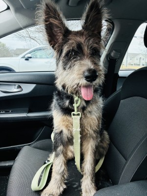 Photo of Polo