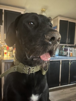 Photo of Elliot