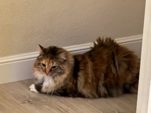 Photo of Mimi