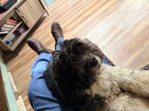Photo of Kinzie