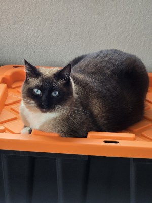 Photo of Precious