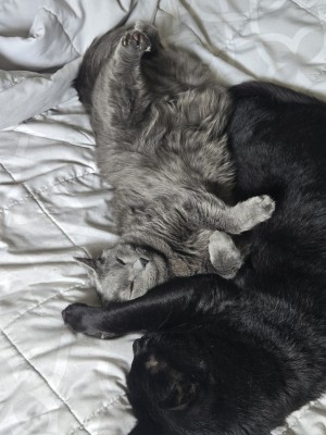 Photo of Lil Bit