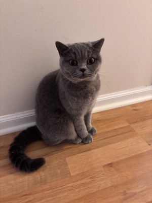Photo of Mia