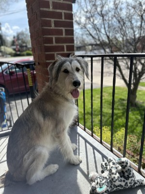 Photo of Gus
