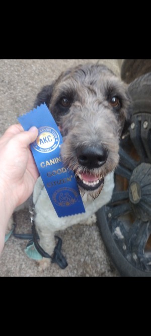 Photo of Molly