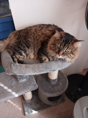 Photo of Lucy