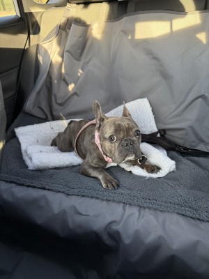 Photo of Billy