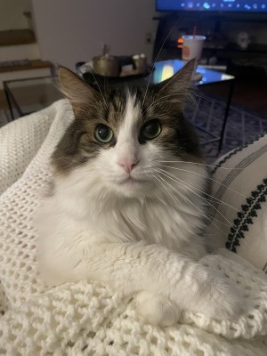 Photo of Lance