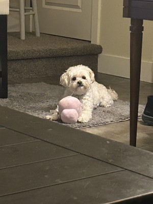 Photo of Jax