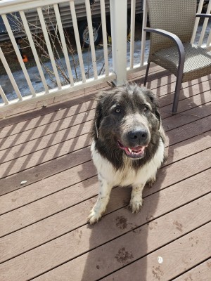 Photo of Rocky