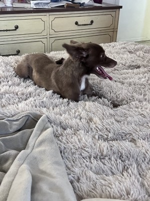 Photo of Marlee