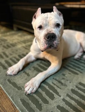 Photo of Ghost