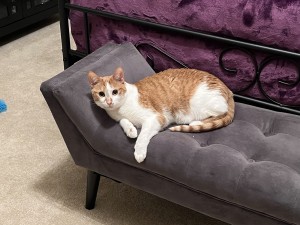Photo of Ginny