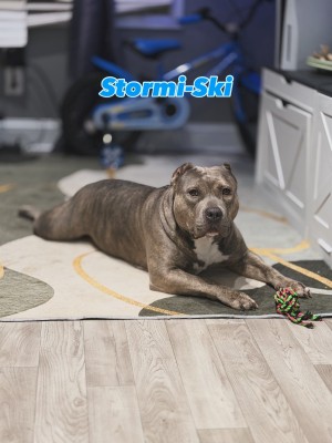 Photo of StormiSki