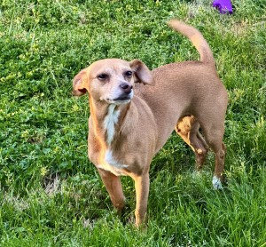 Photo of Bagel
