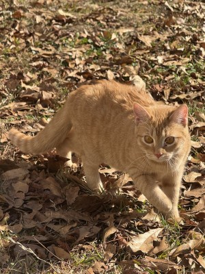 Photo of Hazel