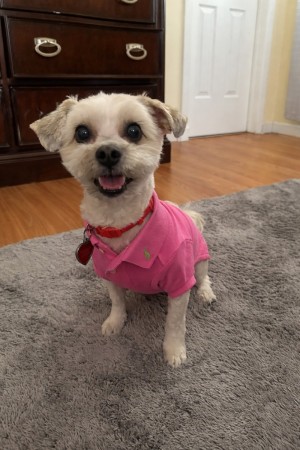 Photo of Chloe