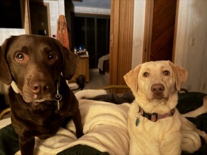 Photo of Beatrice And Marley