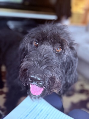 Photo of BART