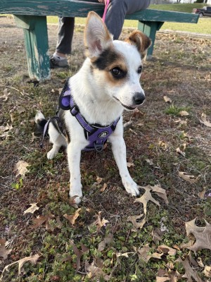 Photo of Sophie