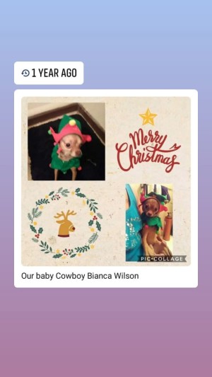 Photo of Cowboy,