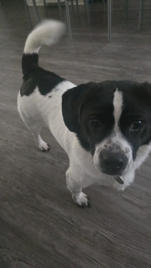 Photo of Bingo