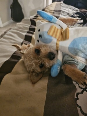 Photo of Harriet
