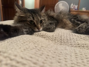 Photo of Minnie