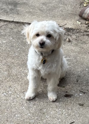 Photo of Manny Joe