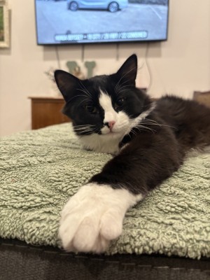 Photo of Charlie