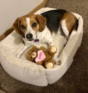 Photo of Molly