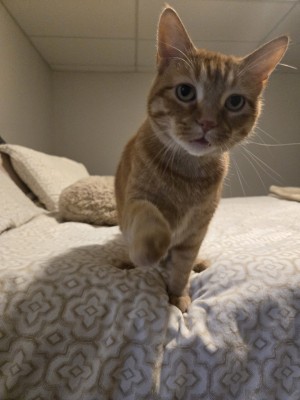 Photo of Lucy 2