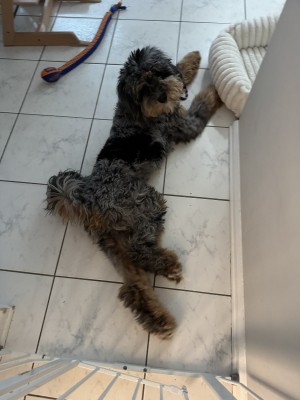 Photo of Leo