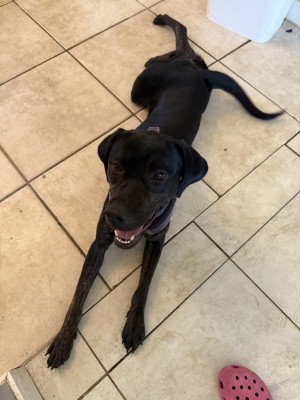 Photo of Coco